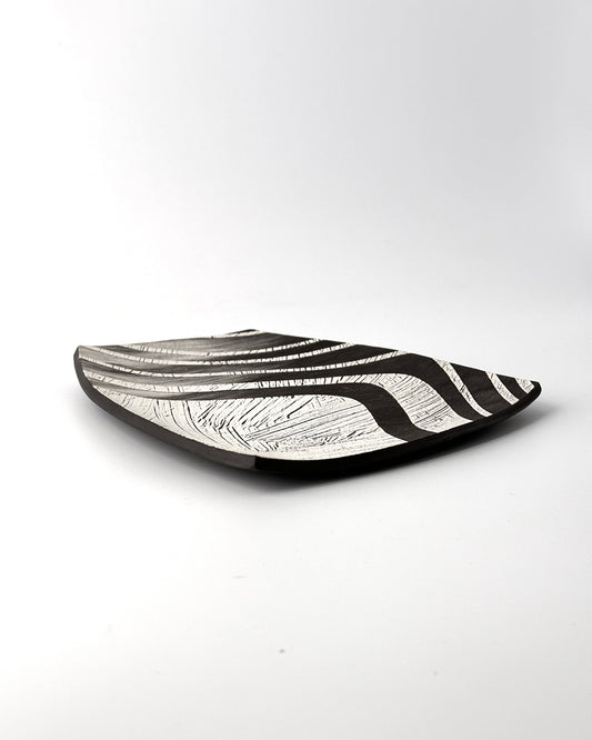 Dish